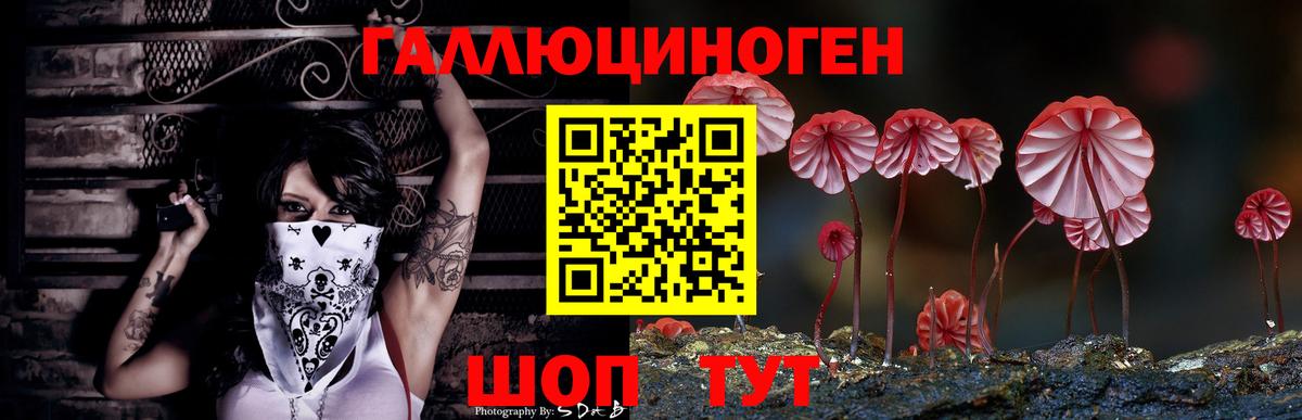 Семёнов  Галлюциногенные грибы прущие грибы  Галлюциногенные грибы Psilocybe  Вход с VPN 
