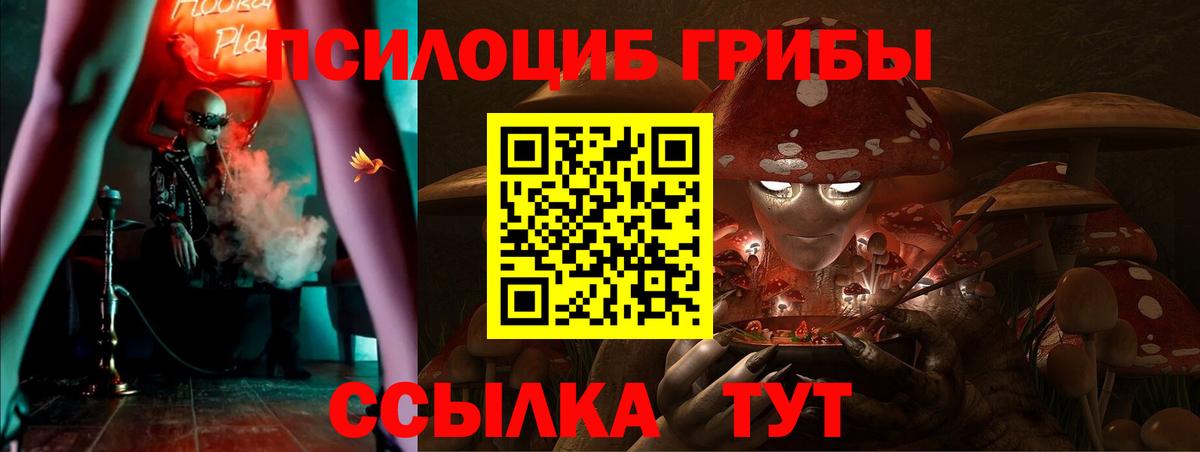 Псилоцибиновые грибы Cubensis Семёнов